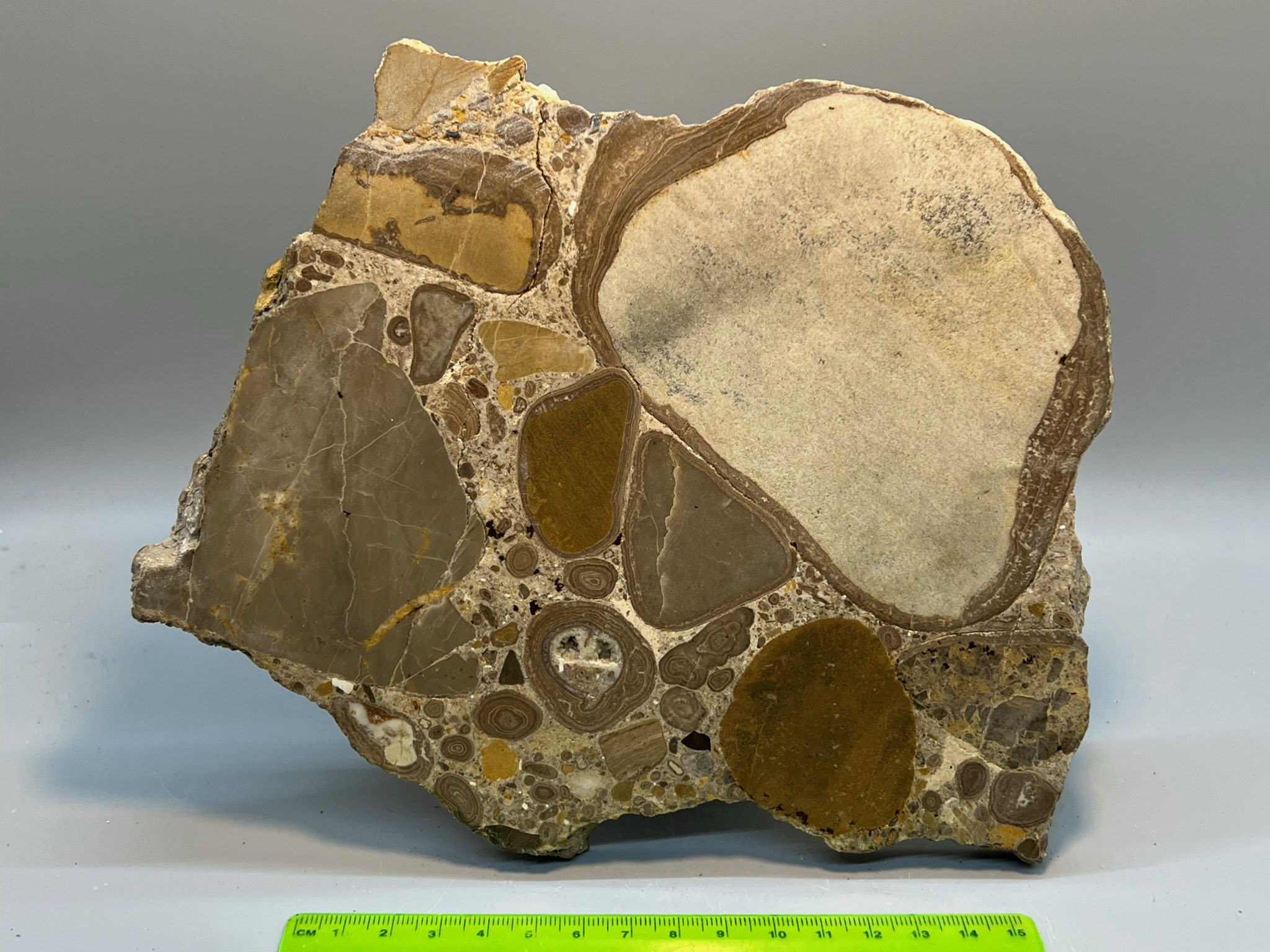 Pisolith conglomerate